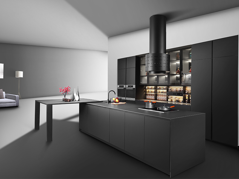 FX006 Stainless steel kitchen cabinet with Cloth board body Behrens